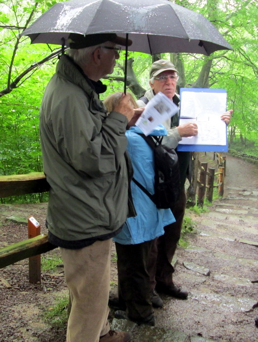 Archeology Walk