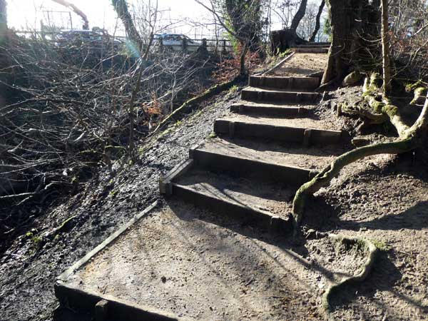 Steps