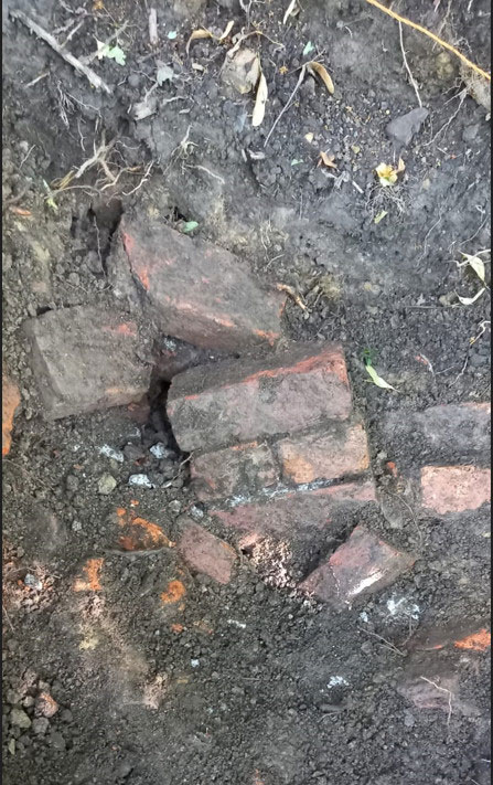 Bricks