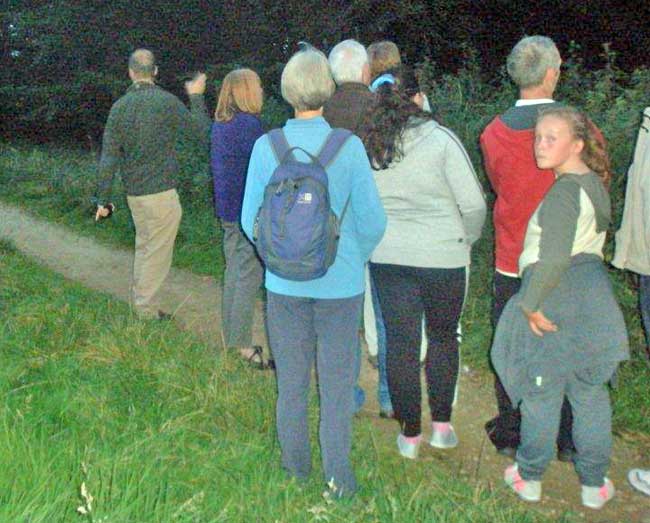 Bat walk