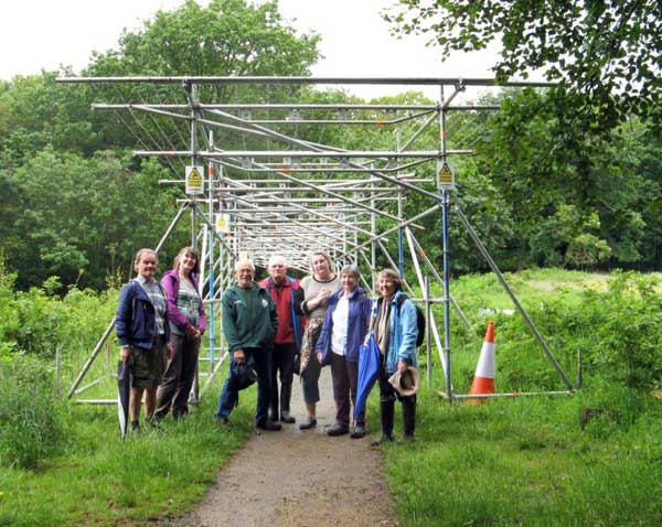 scaffold