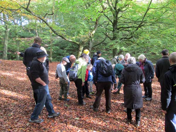 Fungi Walk