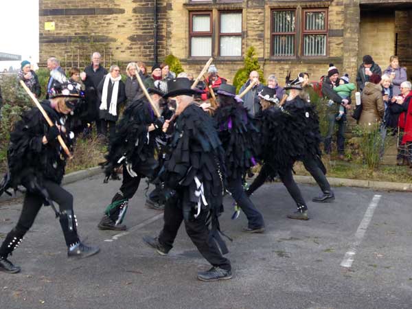 Magpies