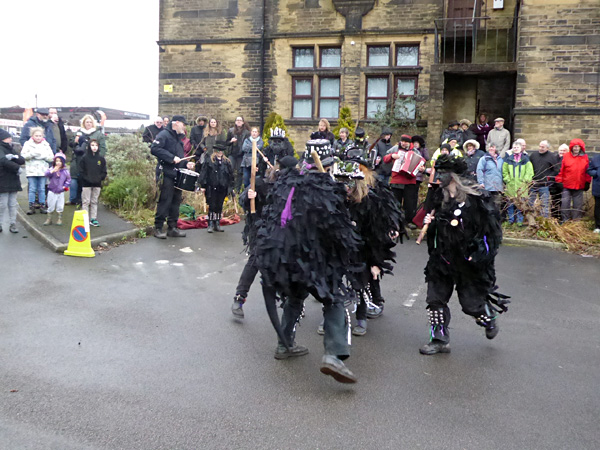 Magpies