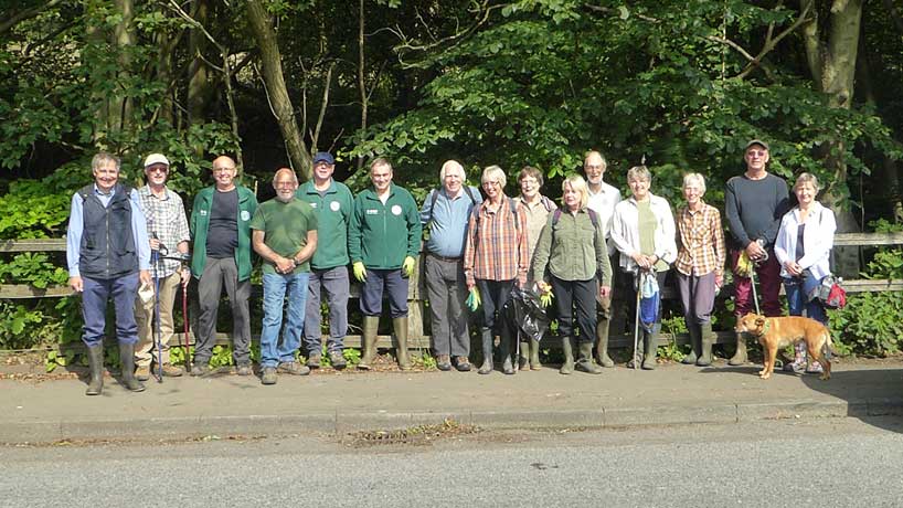 Balsam bashers