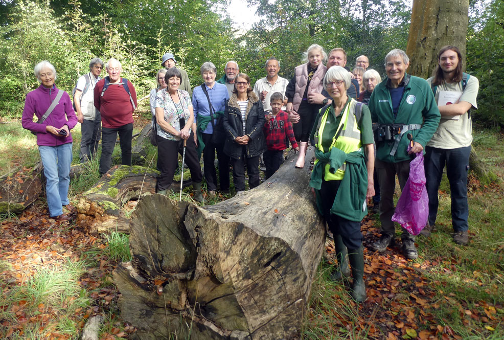 Fungi walk group