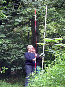 Surveying