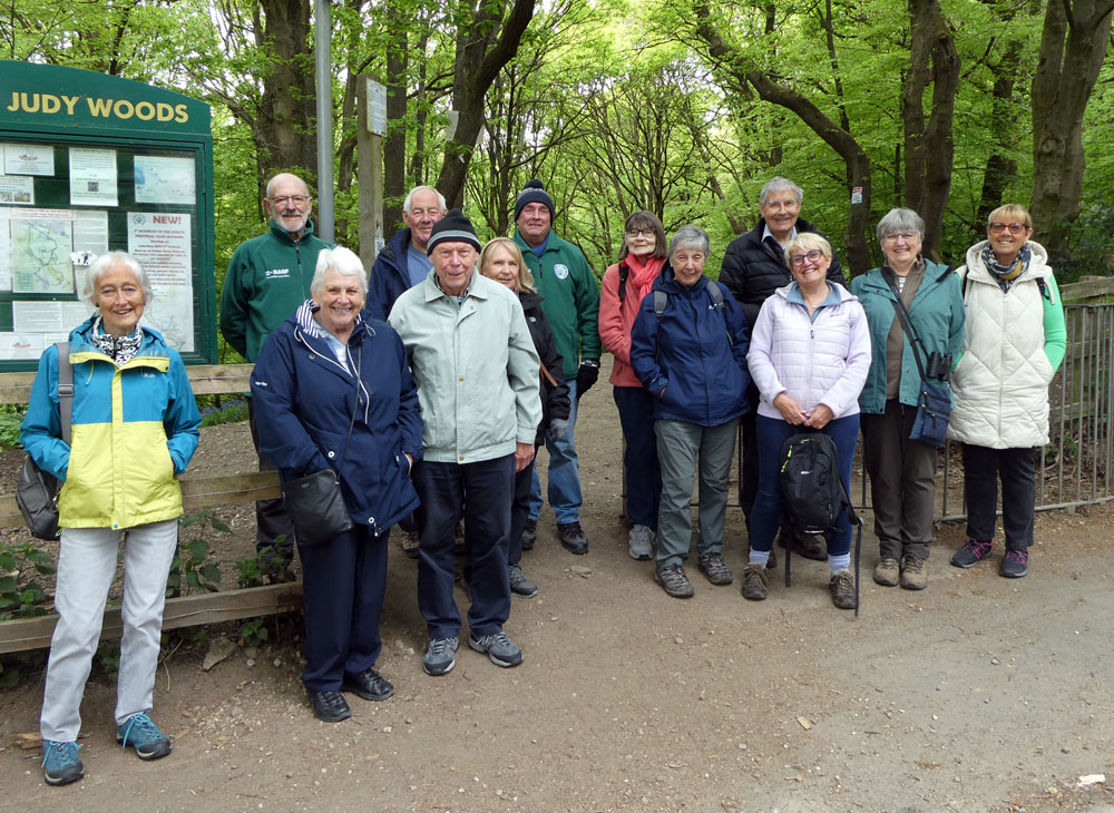 Tea rooms walk