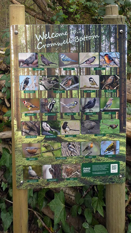 Bird ID