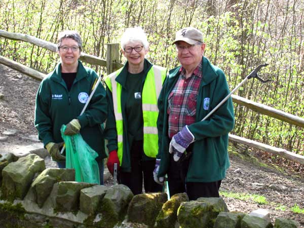 rubbish clearing