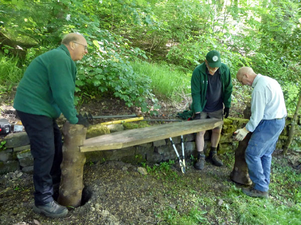 New bench