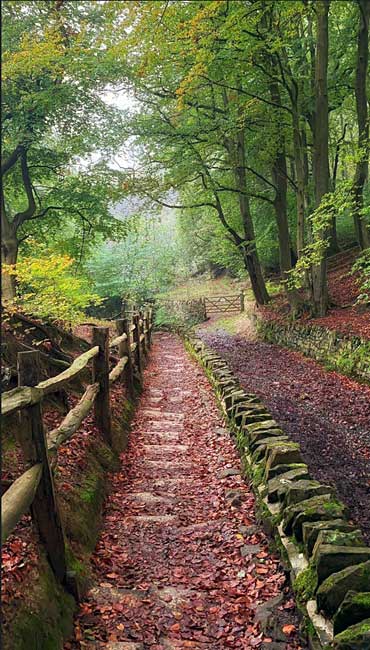 path