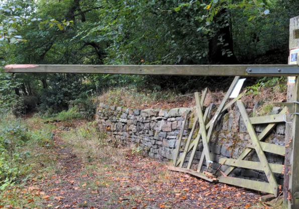 No gate