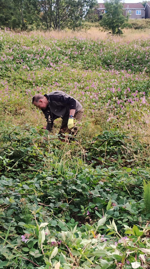 Balsam