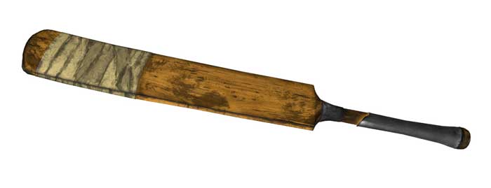 Bat