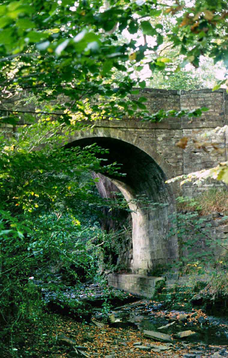 Horse Close Bridge