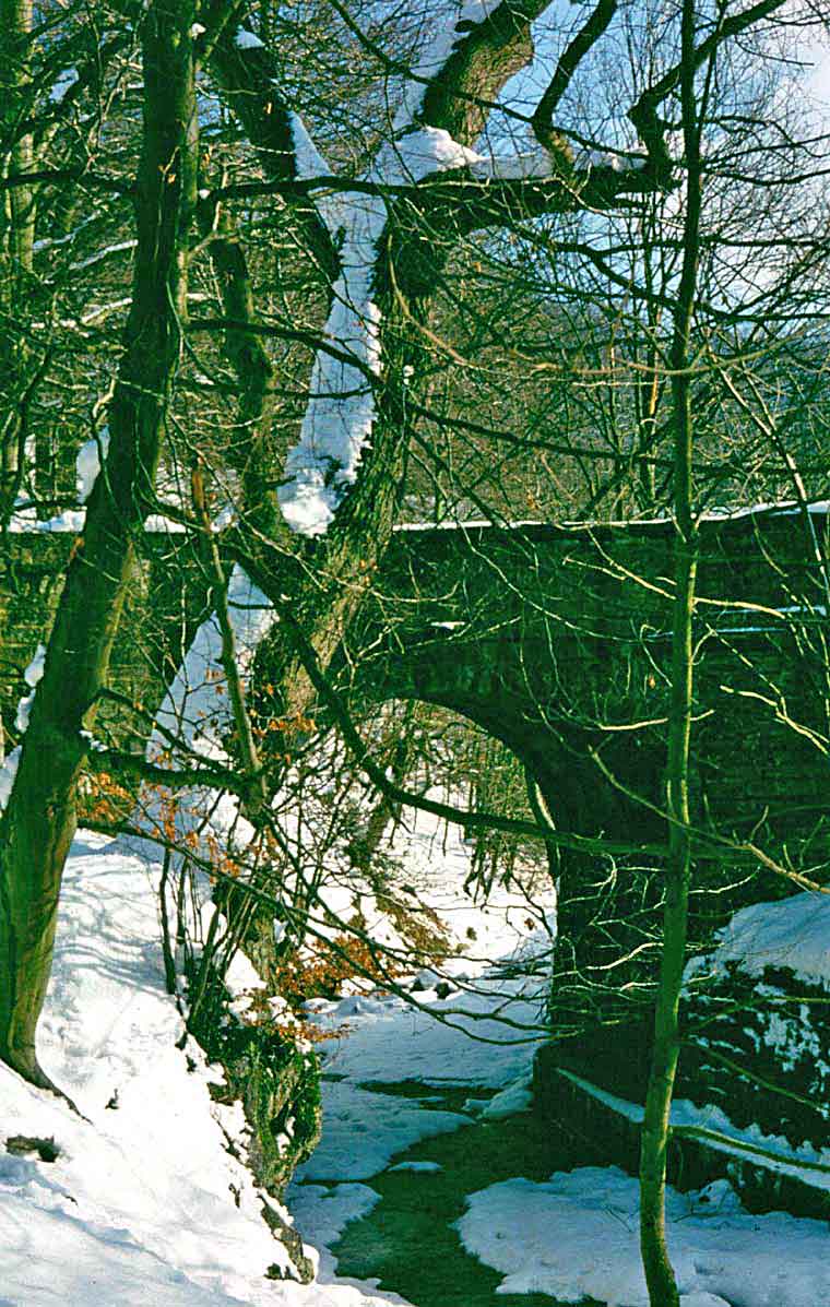 Bridge in winter