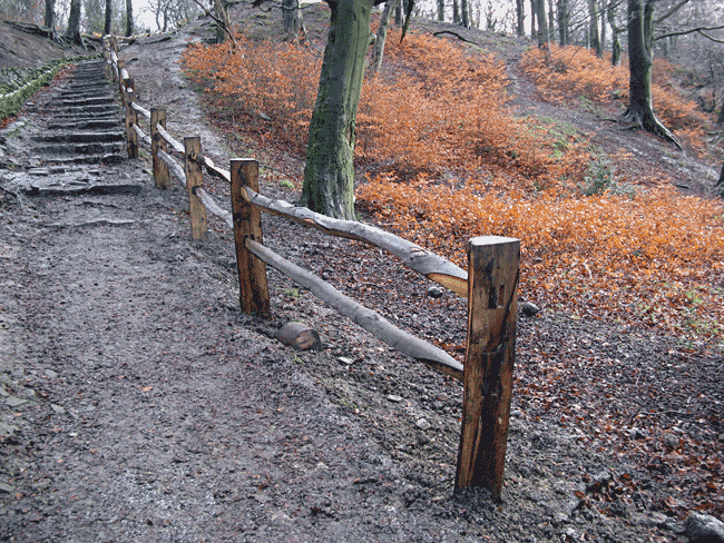 fence