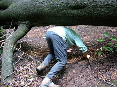 Colin's Bum