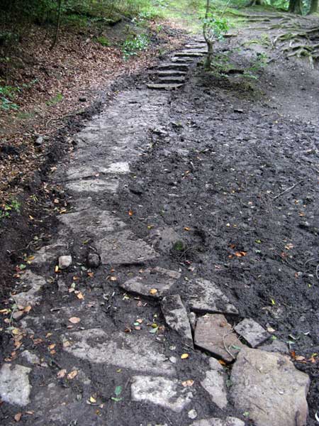 Hidden path