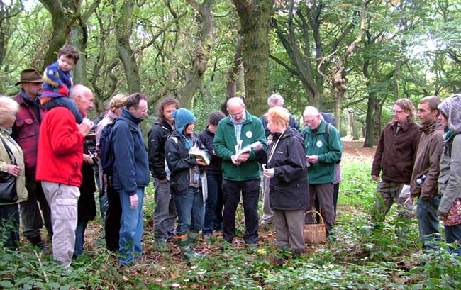 fungi walk