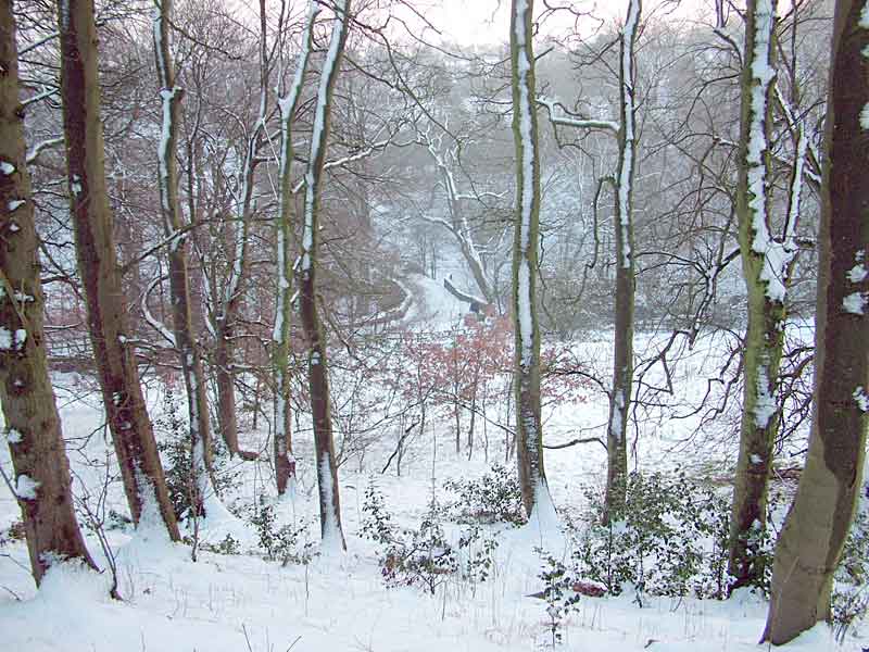Winter