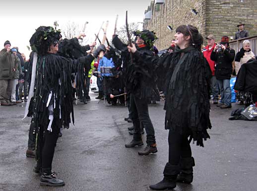 magpies
