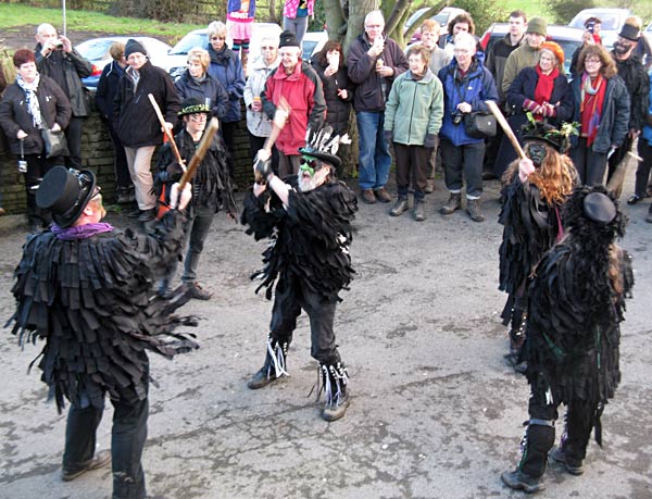 magpies