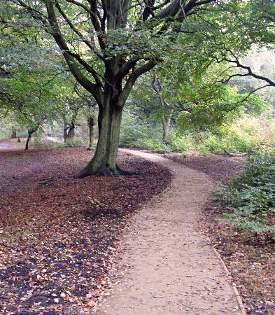 New Path