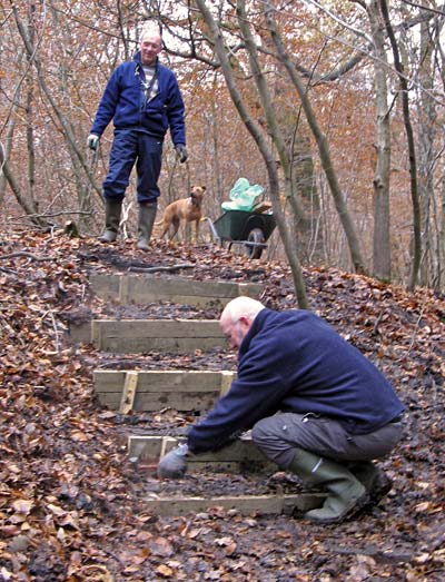 new steps