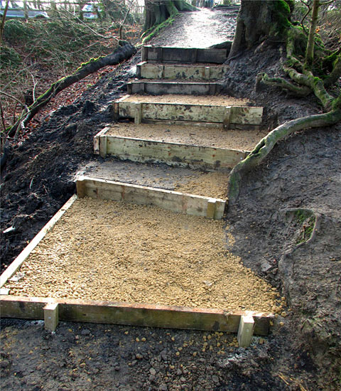 steps