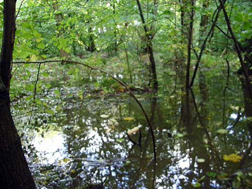 lake2