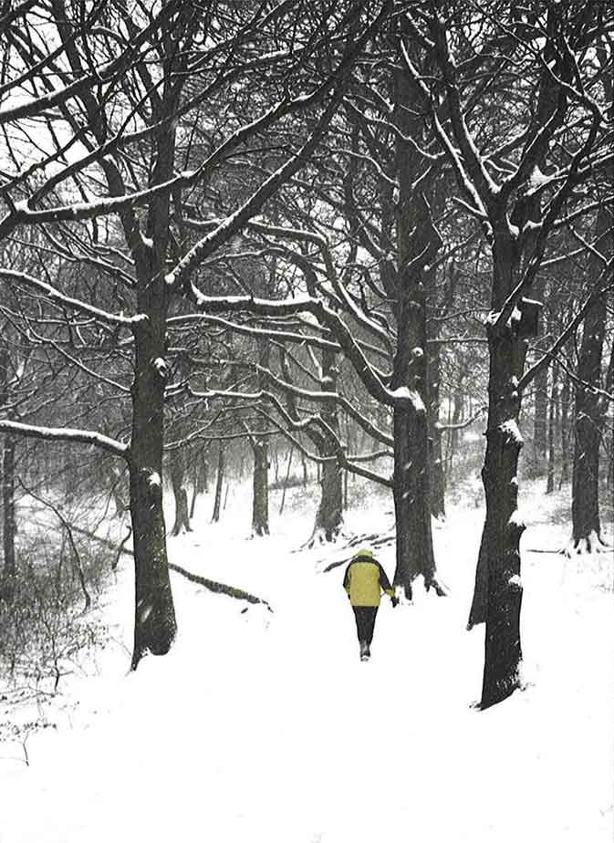 Snow