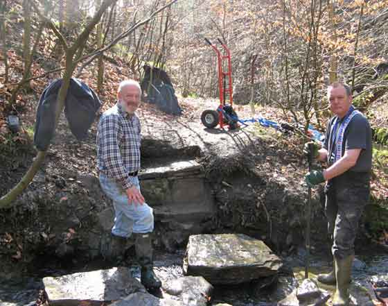 Stepping Stones