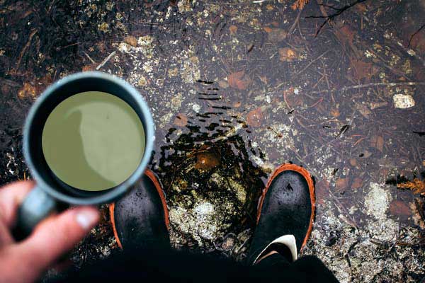 Wet tea room ramble