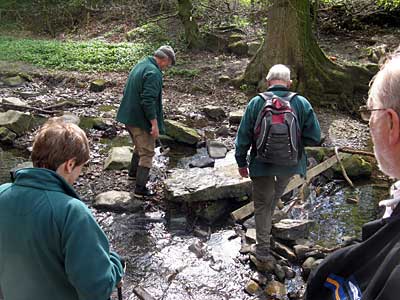 Stream