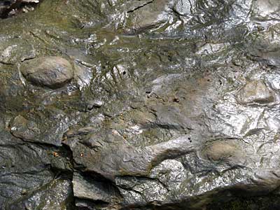 Wavemarks