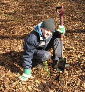 Wibsey Scouts