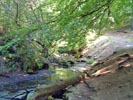 stream