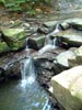 Stream